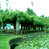 合浦公園